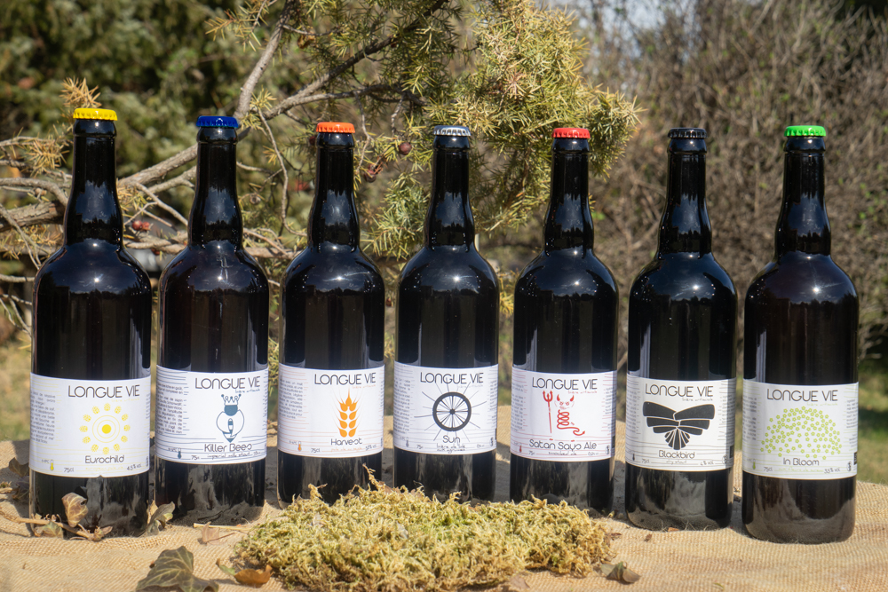 identité d'une gamme de bières artisanales et biologiques - Brasserie Longue Vie en Ardèche